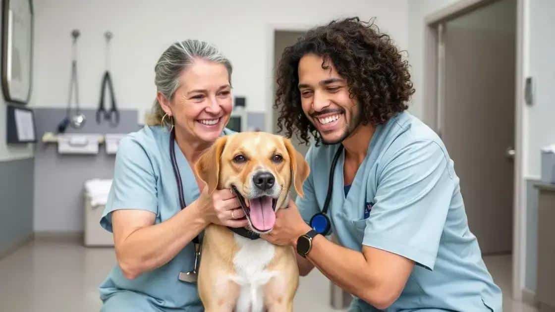 Key benefits of pet insurance